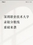 2025深圳职业技术大学录取分数线是多少「在各省录取最低分」