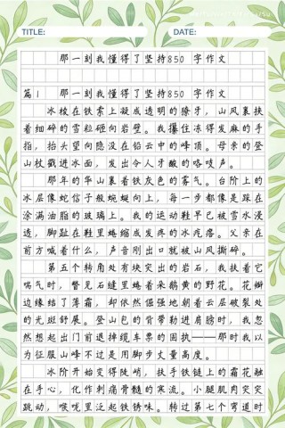 我懂得了坚持作文（精选31篇）