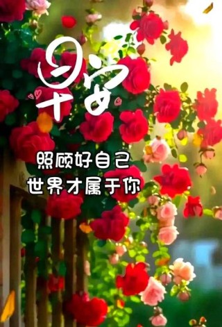 一身正气的早安祝福句子，阳光明媚，给你好心情