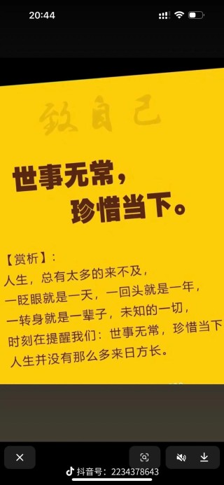 世间熙熙攘攘，人生冷暖自知