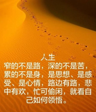 人生哲理经典语录，人生哲理经典语录，智慧与感悟的交汇点。