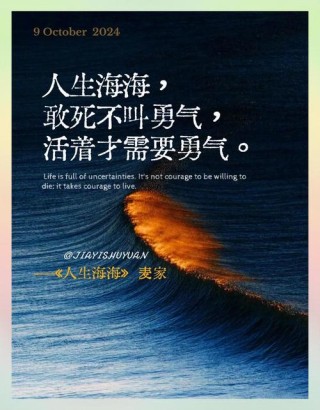 关于海的极致文案分享：纵有千古，横有八荒，前途似海，来日方长