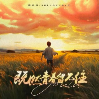 延续着那无悔的青春