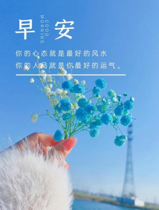 经典早安句子语录