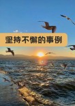 要坚持，更要专注