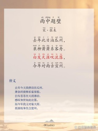 辛未年雨连绵（打一商品名）