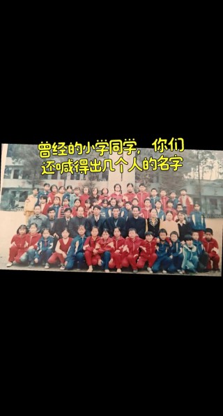 致我们即将逝去的小学时光