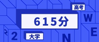 湖北历史类615分能考上什么学校2026（好大学有哪些）
