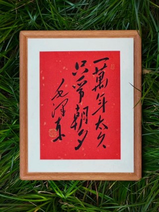 纪念那些奋不顾身的年岁