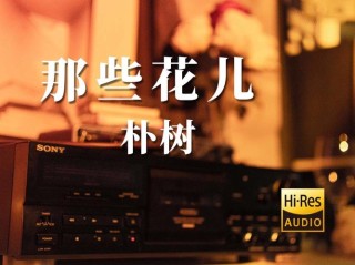 我与我的那些花儿