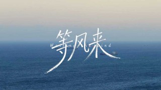 待风来