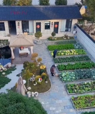奶奶家的小院