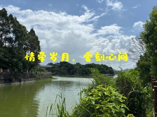 细水长流，爱在悠悠时光深处