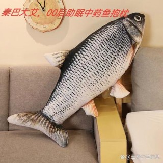 浙江开化汪晓尧：鱼鳖混养年收入80多万元