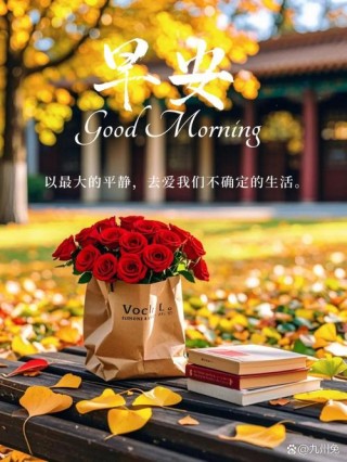 温暖的早晨