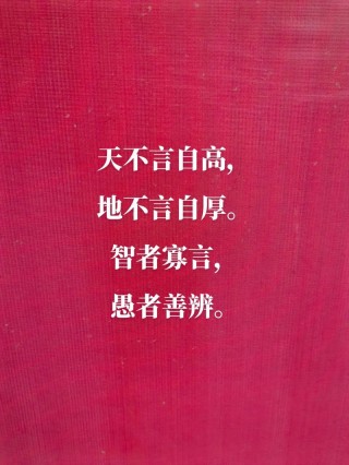 抖音最火的经典语录，抖音热门经典语录精选