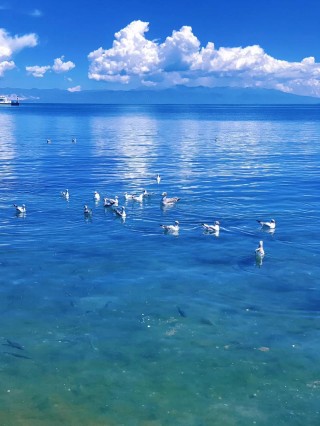 看啊，天蓝了，海也蓝了