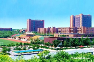 资阳有哪些大学？资阳的大学排名2026最新「附分数线」