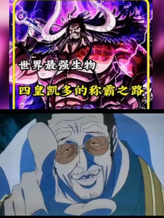 海贼王凯多的经典语录 热血海贼王角色大全
