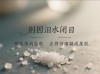 不过是流着眼泪吃着肉