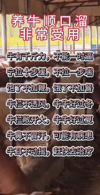 牛年到，老农说的这些俗语，有道理吗？