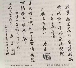 鲁迅名言名段摘抄钢笔爱好者钢笔书法习作欣赏