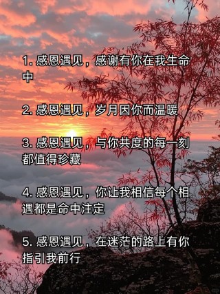 感谢缘分让我们相遇，最爱的人就是你