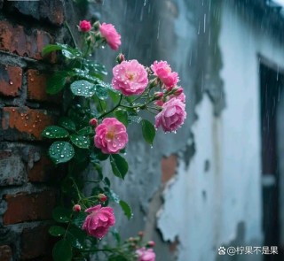 花虽落，风住尘香