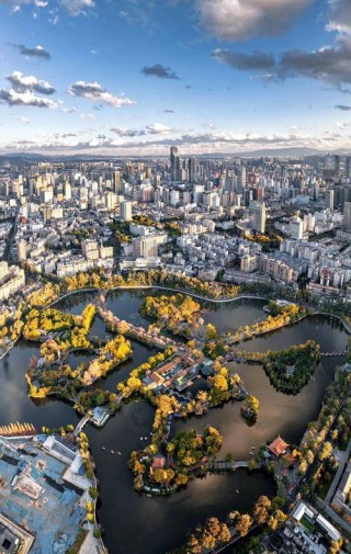 忍不住想，我为什么要来大城市