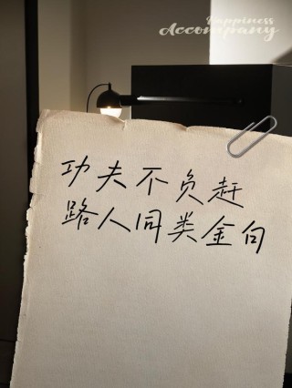 功夫不负有心人