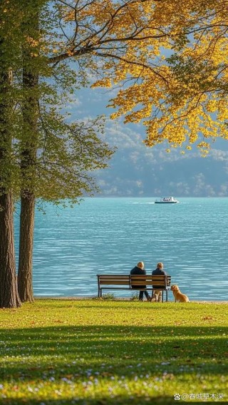 爱是一道静谧的风景