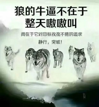 狼的50格言，你会受用一生