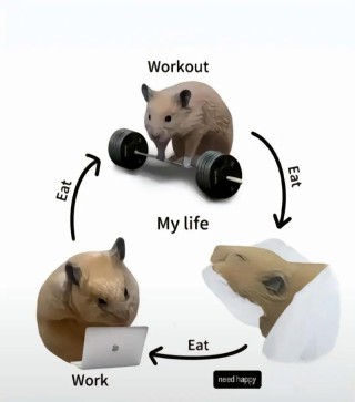 生活有‘三点’