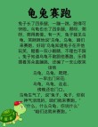 如果兔子都在拼命奔跑，是什么给了作为乌龟的你前进的动力？