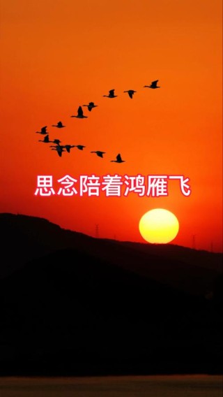 如燕盘旋而来的思念