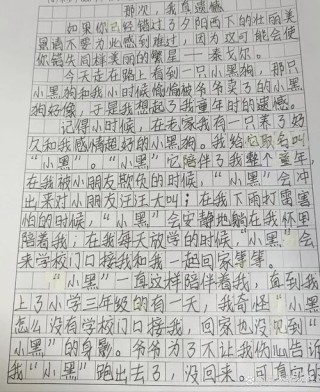 说说你学生时代最遗憾的一件事