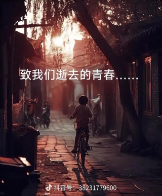 再见了青春