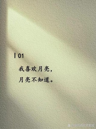 过去的暗恋总是难忘