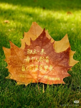 叶落头上，秋在心上