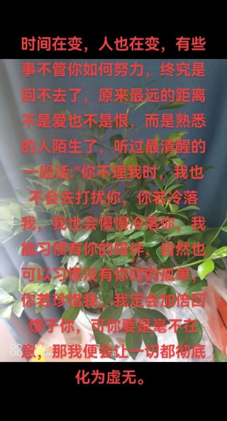 熟悉的陌生人