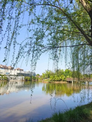 沐浴春色不负春光