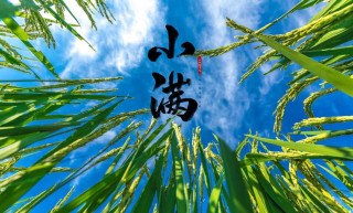 符纯荣专栏｜入夏说阵雨