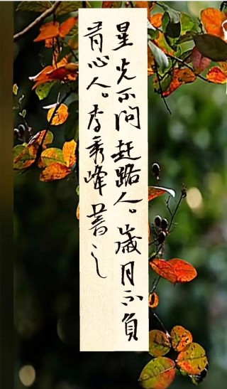 「每日一句」星光不问赶路人，时光不负有心人