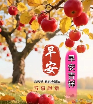 10月金秋，早上好，最美的早安图片祝福唯美短句。