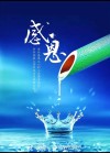感谢，生活给我的每一次高潮。