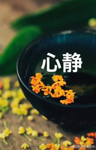 心中愈静
