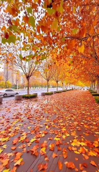 秋初，遇见高原的风