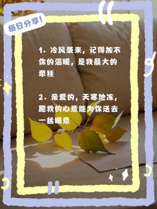 冬天里的一丝温柔