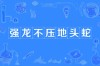 一生不容强压头 （打一字）