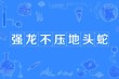 一生不容强压头 （打一字）